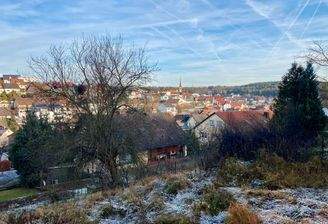 Blick über Güntersleben