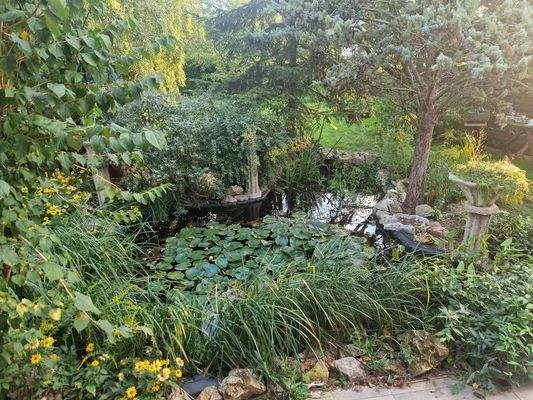 543703759_4050976088546740_6473443002594562239_n.j