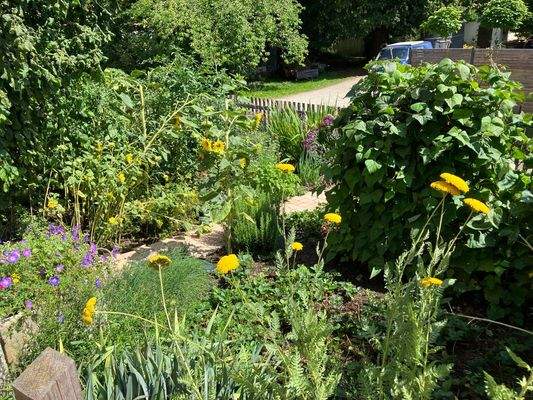 Bauerngarten vor dem Haus
