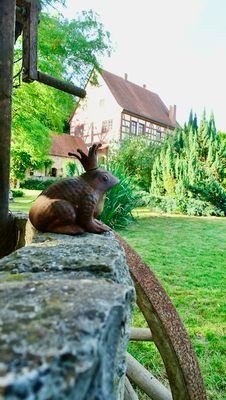 Brunnen mit Froschkönig und Blick aufs Schloss.jpe