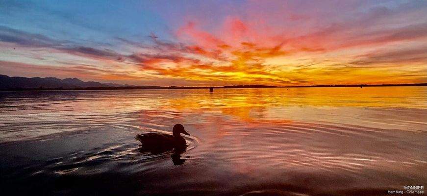 WhatsApp Bild 2025-11-26 um 15.15.12_7814dd0b