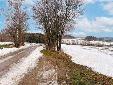 Amtsberg Bauernhöfe, Landwirtschaft, Amtsberg Forstwirtschaft