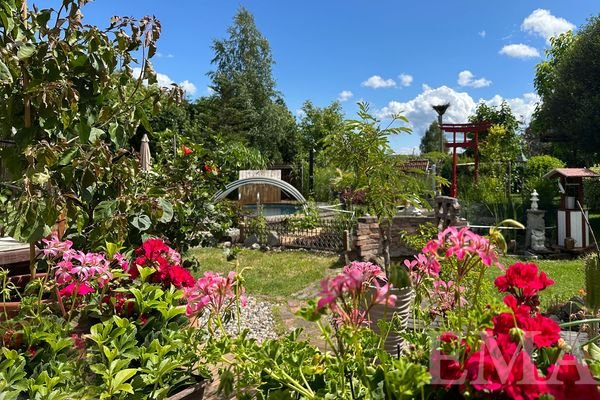 Terrassenblick zum Pool