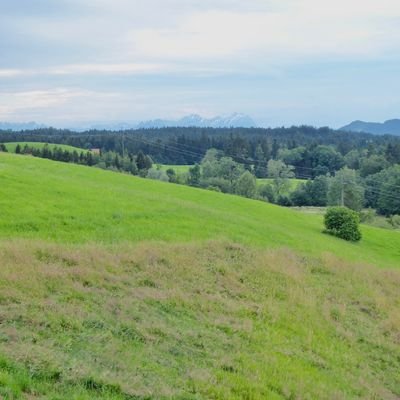 Aussicht Richtung Schweiz.jpeg