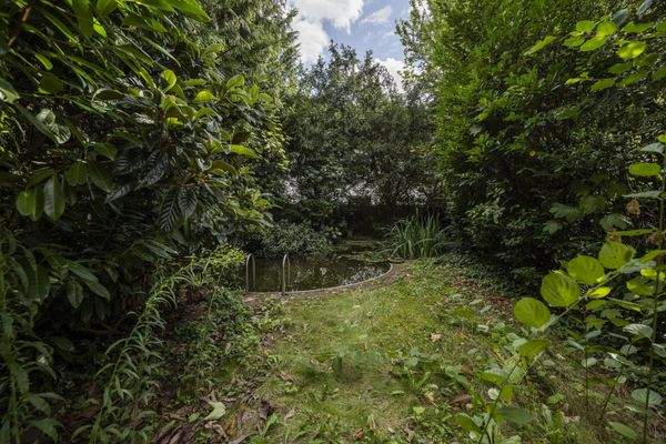 Eigener Schwimmteich