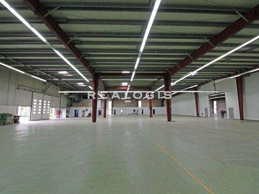 Innenansicht Lagerfläche_bearbonline