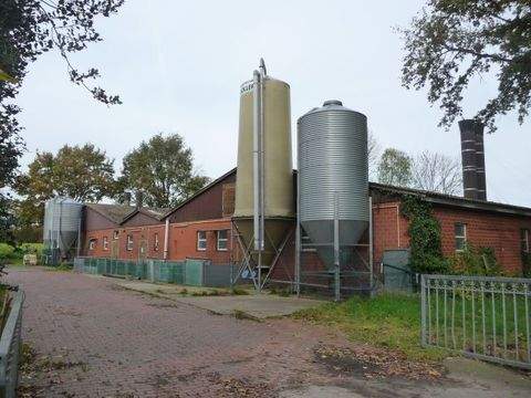 Badbergen Bauernhöfe, Landwirtschaft, Badbergen Forstwirtschaft