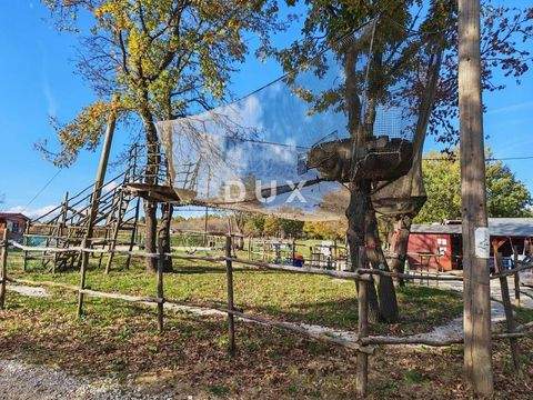 Barban Ladenlokale, Ladenflächen 