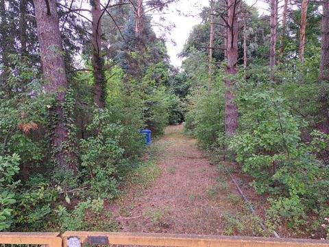 Bestensee Grundstücke, Bestensee Grundstück kaufen