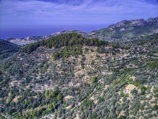Finca-Soller