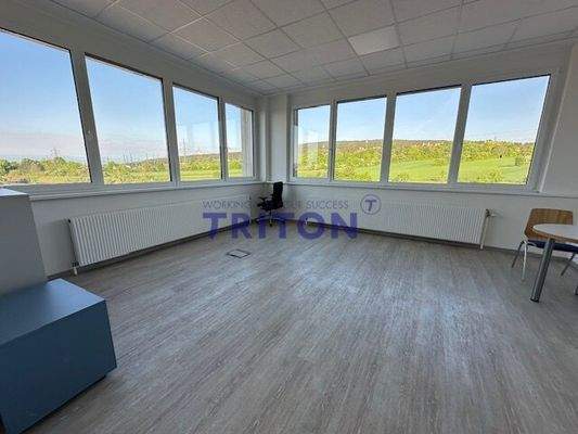 Bild 19