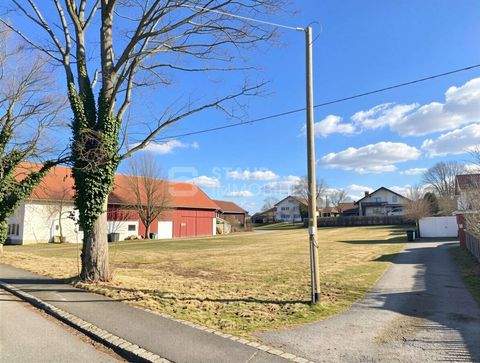 Thaining Grundstücke, Thaining Grundstück kaufen