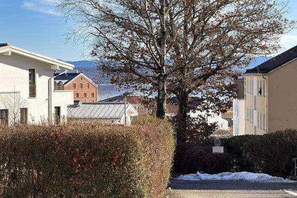 Blick auf den Starnberger See