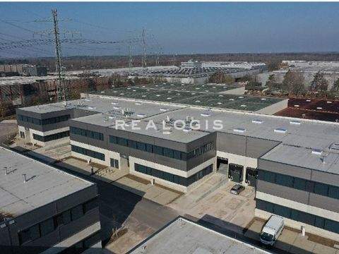 Hattersheim Halle, Hattersheim Hallenfläche