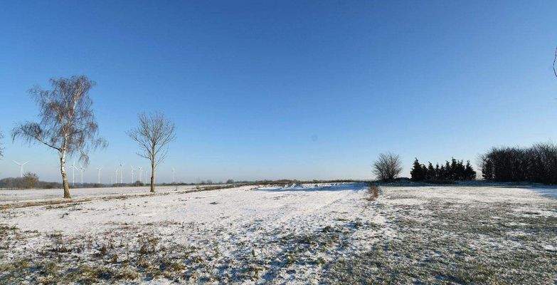 Weitblick übers Feld