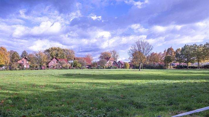 Pferdeweide (kann angepachtet werden)