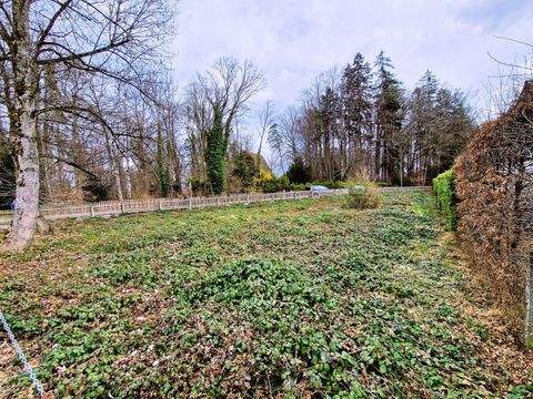 Bernried Grundstücke, Bernried Grundstück kaufen