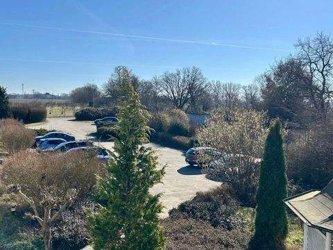 Nauen Halle, Nauen Hallenfläche