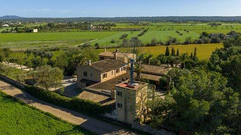 Campos Häuser, Campos Haus kaufen