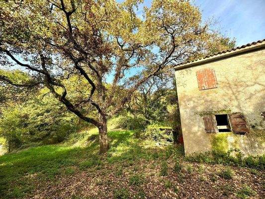 WhatsApp Image 2024-11-05 at 11.24.01 (3).jpeg