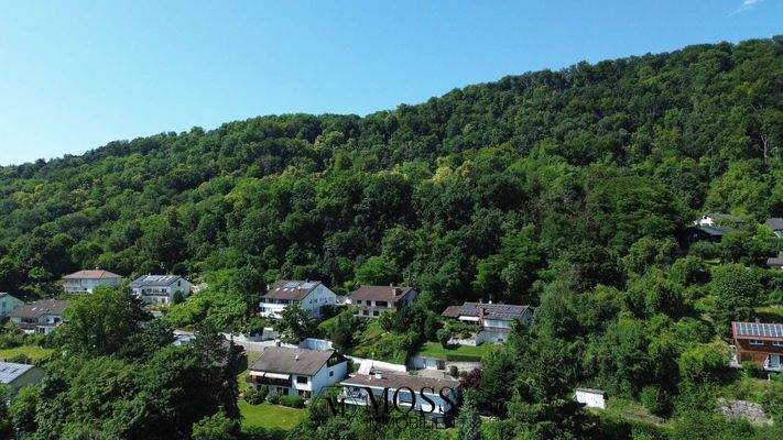 oberhalb des Waldes ist die Wiese für das Grenzacher Fastnachtsfeuer