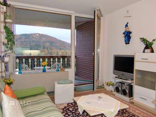 Wohnen, Süd-Loggia-Balkon