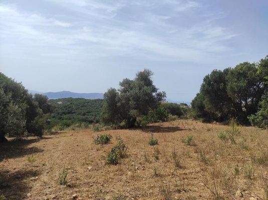 Kreta, Karoti: Grundstück mit Baugenehmigung und atemberaubendem Bergblick zu verkaufen