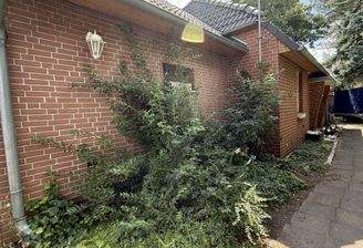 Bild1