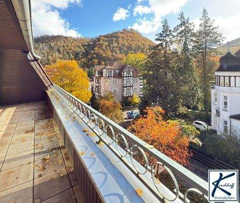 Blick vom Südbalkon