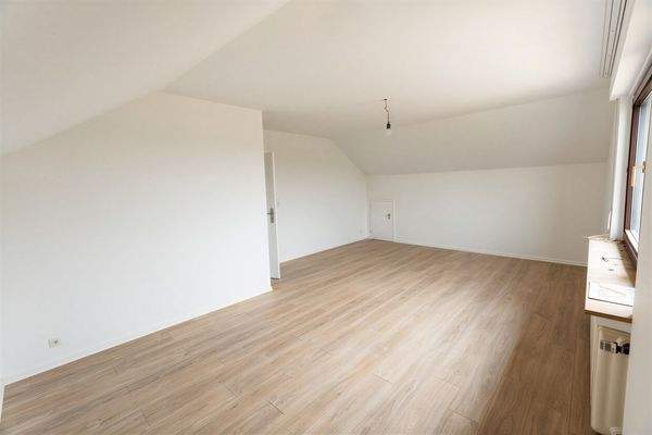 DSC05697 - (KI generiert)