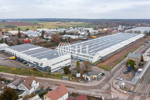 Messel Halle, Messel Hallenfläche