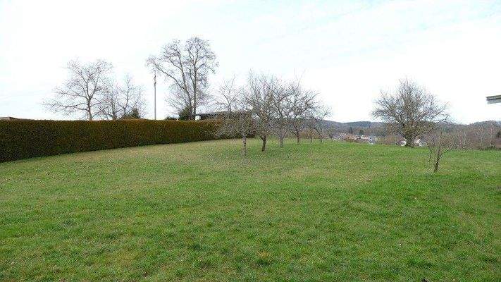 weitläufiges Grundstück mit Blick in die Natur