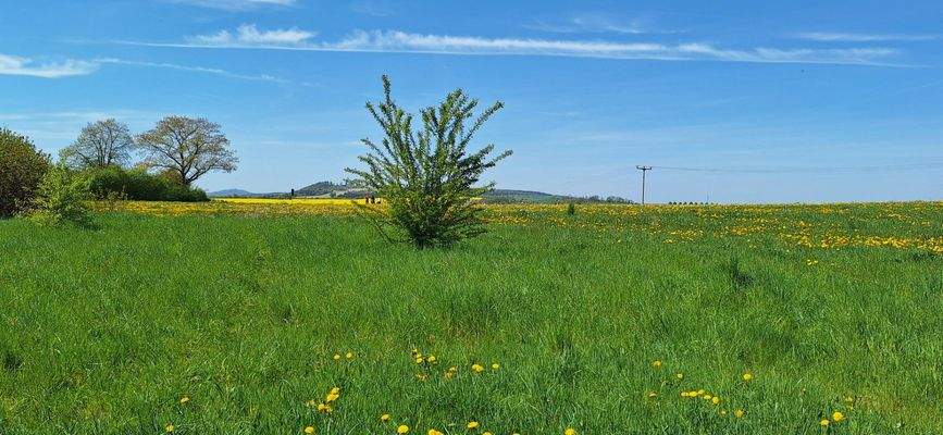 thumbnail_20250429_140105