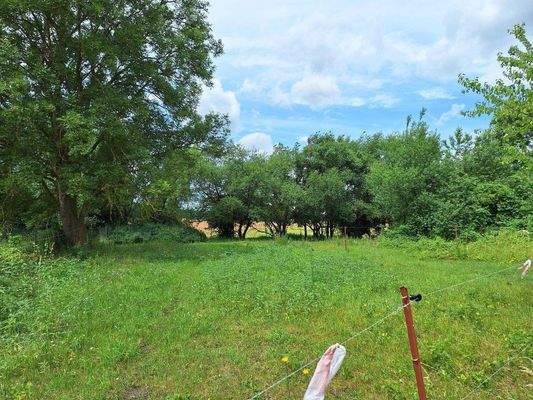 Ansicht Grünland.jpg