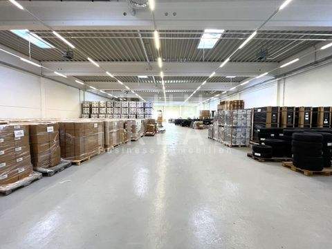 Düsseldorf Halle, Düsseldorf Hallenfläche