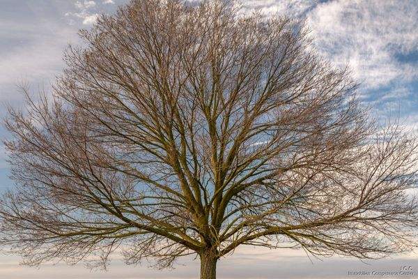 Winterbild - Open House Event - Binderhäusl 2, Stubenberg - Simbach am Inn - ICC Immobilien Competence Center