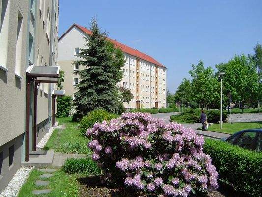 Albert-Schweitzer-Ring