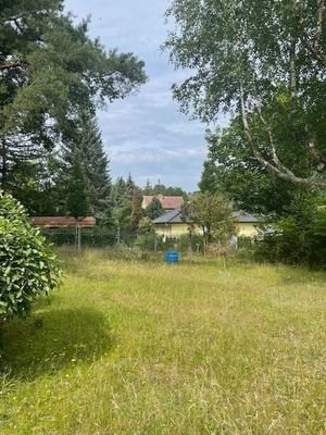 Ausblick von der Terrasse in den Garten