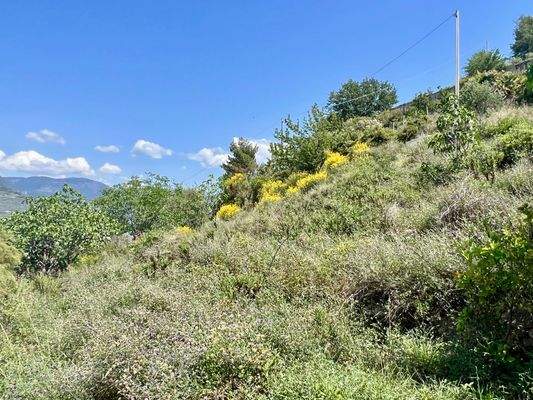 CA910_22 TERRA ITALIA IMMOBILIEN_LIGURIEN_CAMPOROS