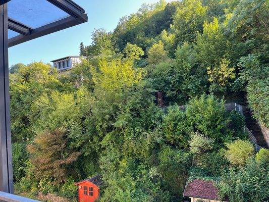 Blick auf den Exotenwald