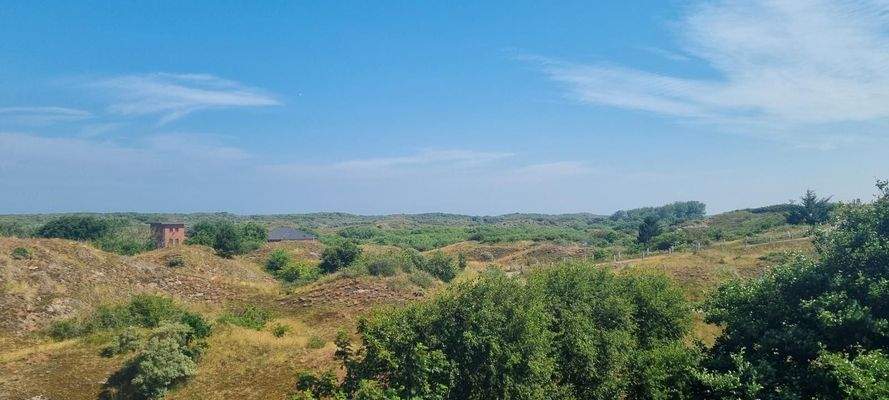 Blick in die Dünen von der Wohnung aus