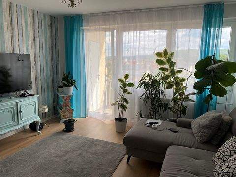 Erlenbach Wohnungen, Erlenbach Wohnung mieten
