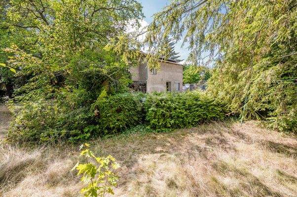 Garten neben dem Haus