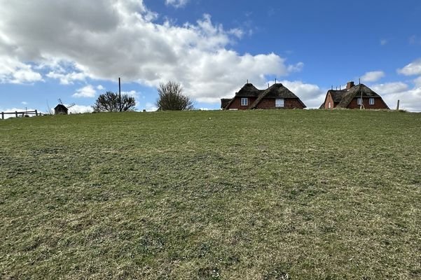 Blick von Osten auf die Warft