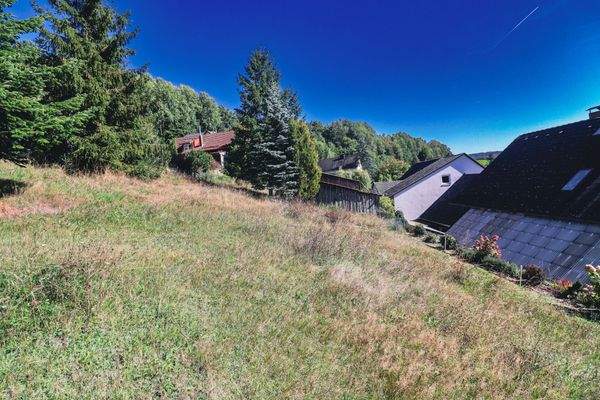 Der großzügige Garten braucht wieder Pflege