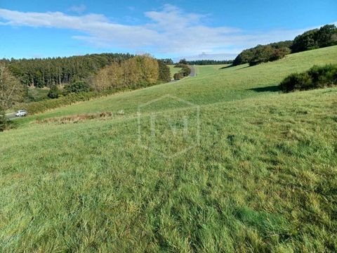 Bad Münstereifel Bauernhöfe, Landwirtschaft, Bad Münstereifel Forstwirtschaft