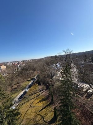 Blick in Grünanlage