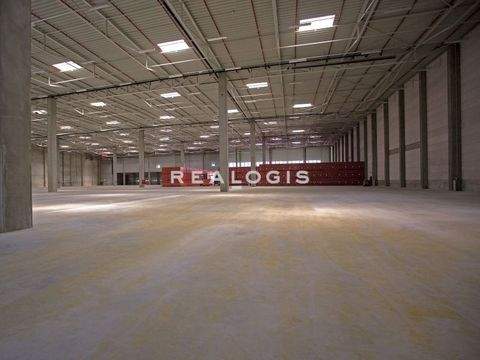 Berlin Halle, Berlin Hallenfläche