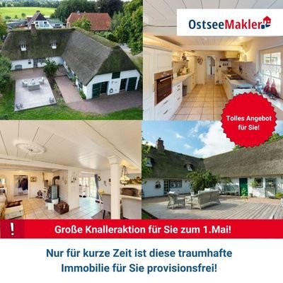 Charmantes Reetdach