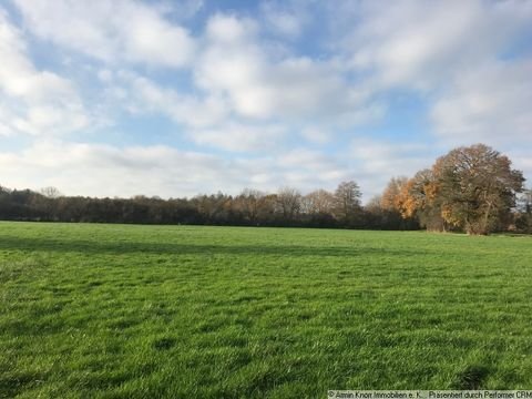 Edewecht Bauernhöfe, Landwirtschaft, Edewecht Forstwirtschaft